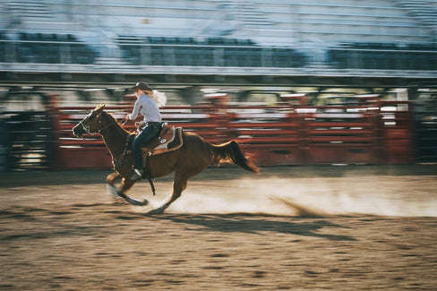 Western Horse Riding: Skills, Training, and Techniques