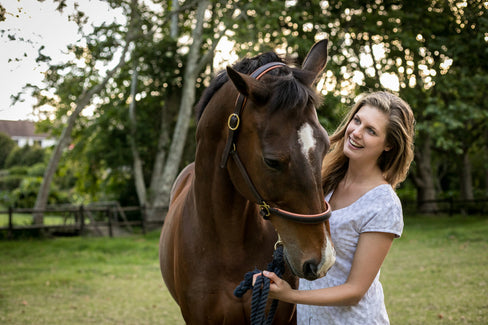 high-fat horse