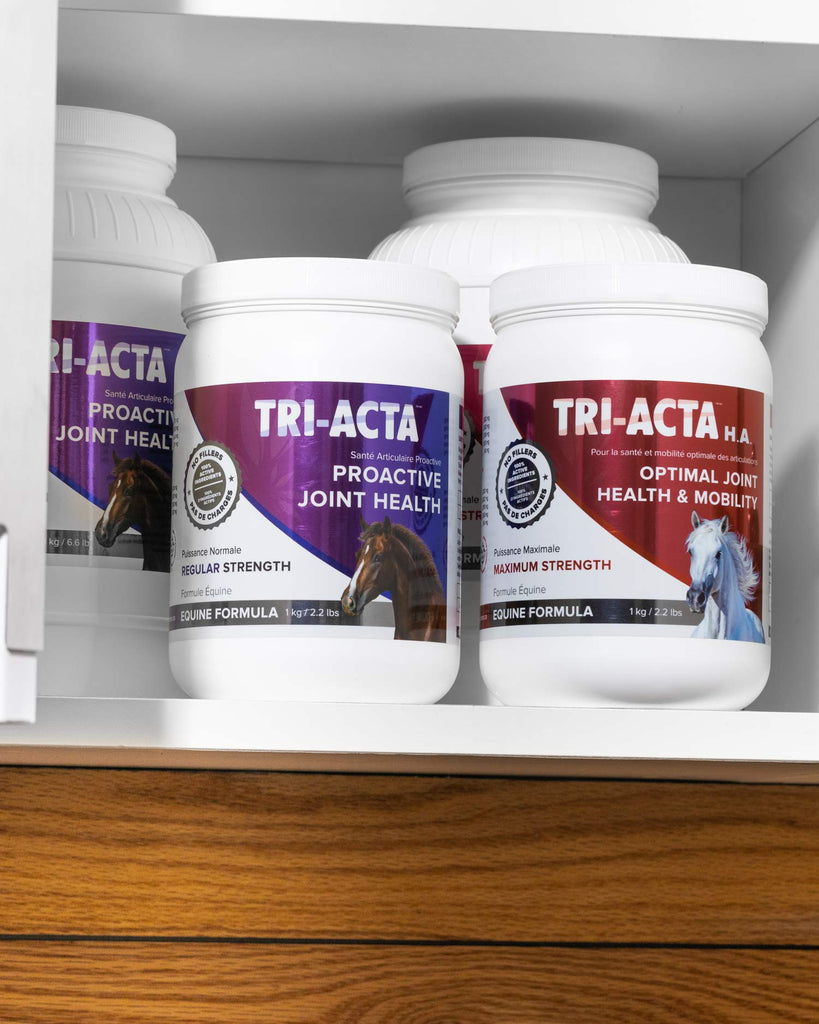 TRI-ACTA for Equine.