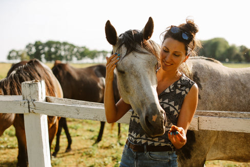 horse joint supplement