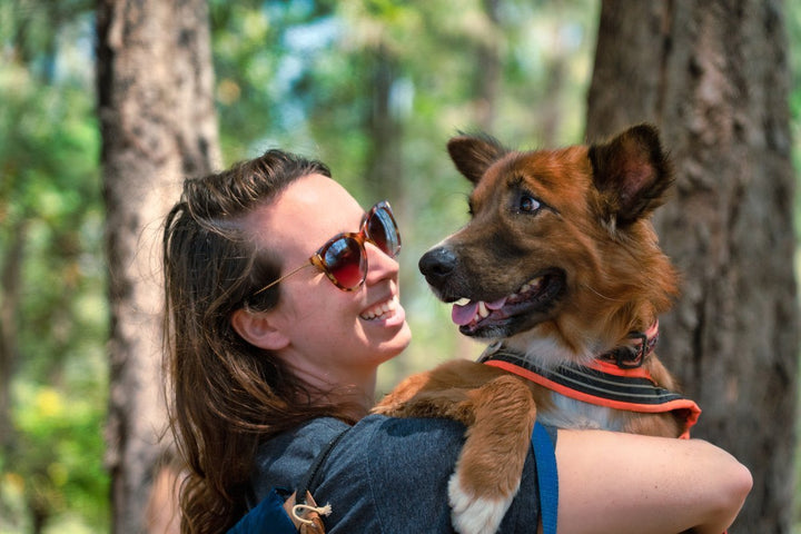 Dog Joint Pain Relief: Tips for Helping Your Pup Move Better