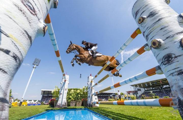 4 Ways to Support Sport Horse Injury Recovery