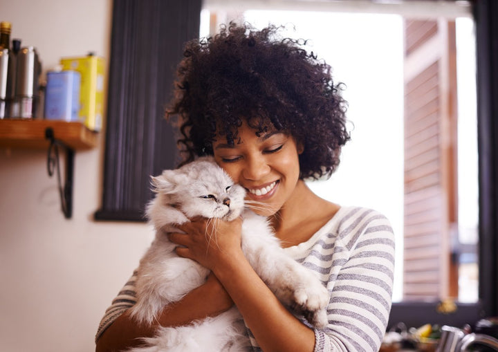 Cat Arthritis Prevention & Treatment [Top 5 Tips]
