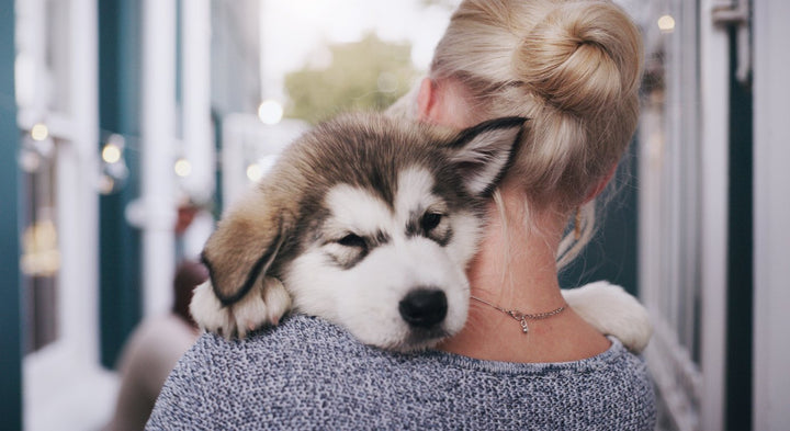 How to Take Care of a Puppy [Including Breed Specific Tips]