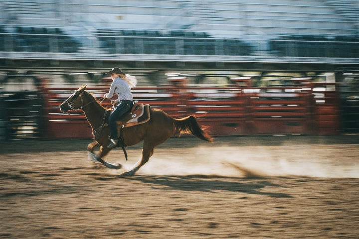 Western Horse Riding: Skills, Training, and Techniques