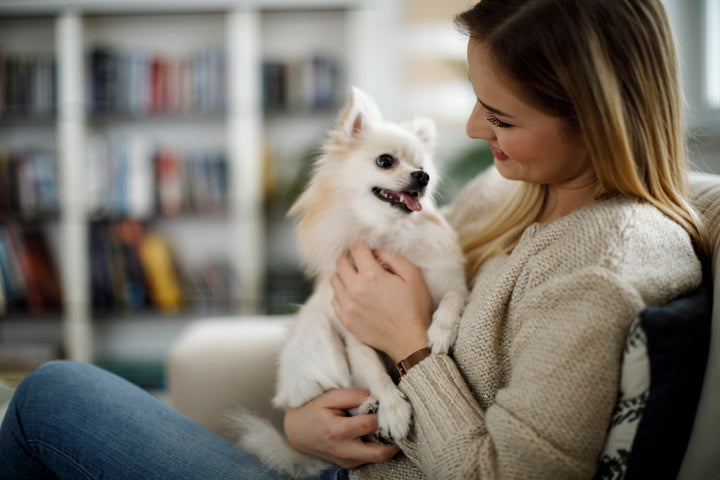 luxating patella dog