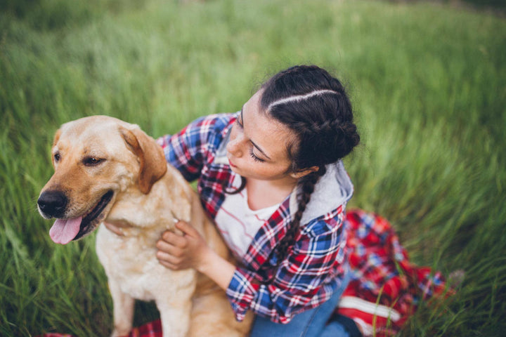 Adequan for Dogs: How it Works, Dosage, Alternatives & More