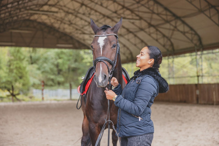 Tips and Considerations for Buying a Horse