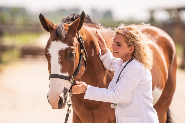equine gut health