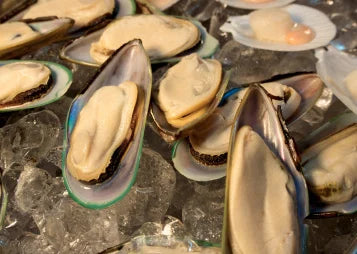 Considerations With Glucosamine In Dog Nutrition