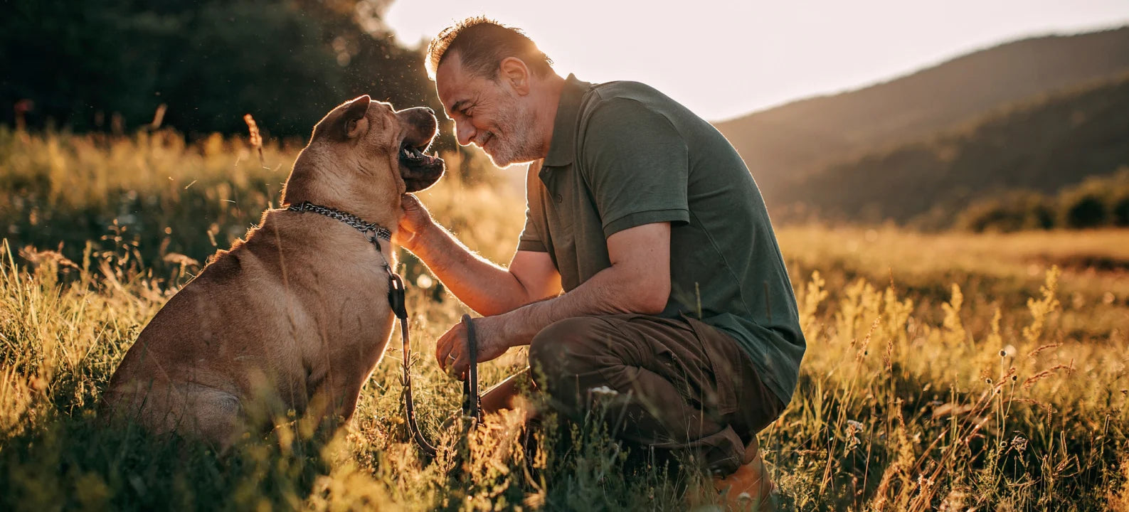 Joint Supplements for Dogs