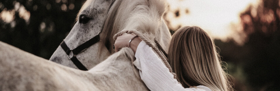 Navigating Horse Care: Keeping You in The Saddle