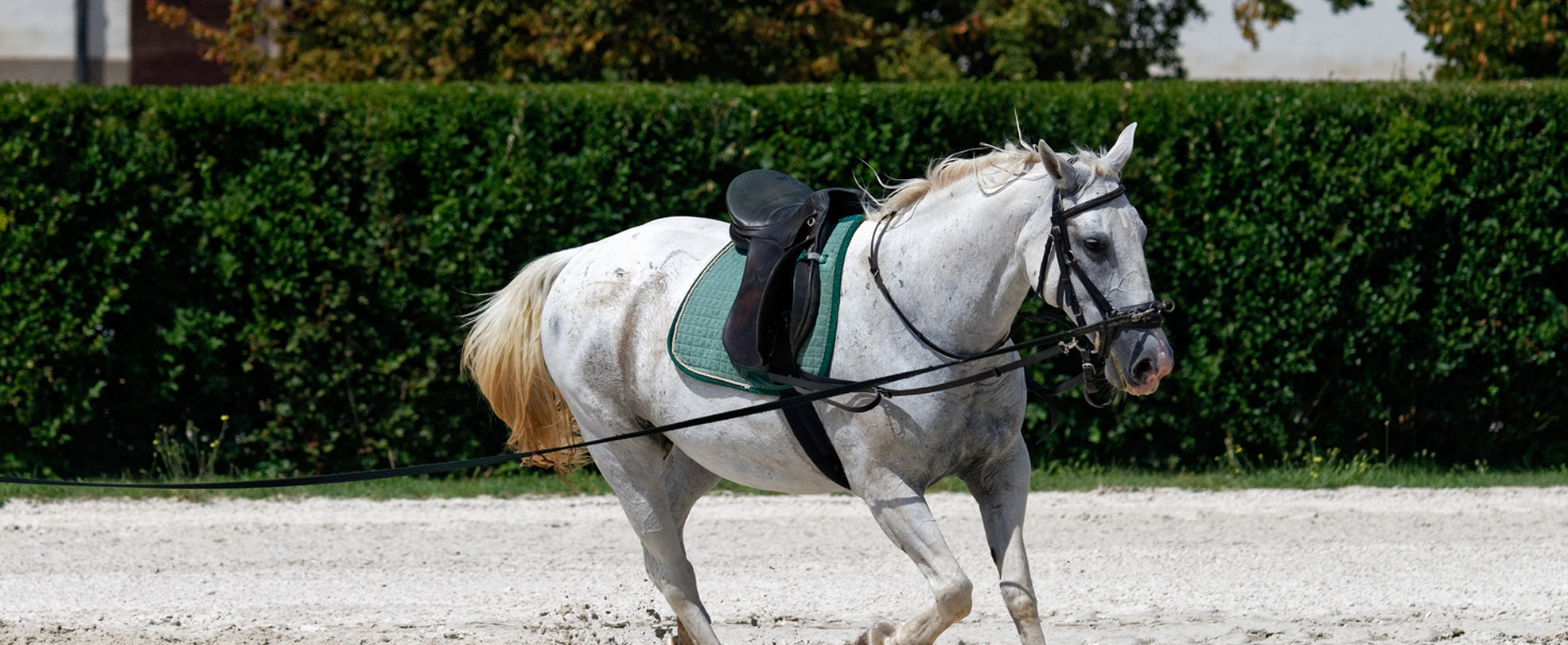 Tackling Common Mobility Challenges in Training