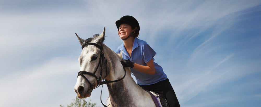 The Foundation of a Great Horse Trainer