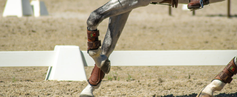Training With Tendons in Mind: Preventing Injury
