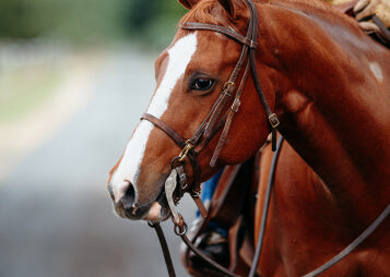 How Improper Movement Leads to Injury (Especially in Young or Underdeveloped Horses)