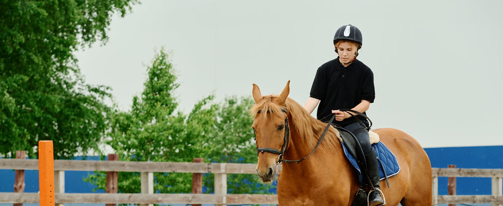 Mistakes to Avoid in Horse Training