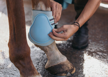 SI Joint in Horses: The Silent Saboteur of Performance