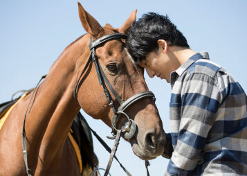 What Makes a Great Horse Trainer for Racehorses?