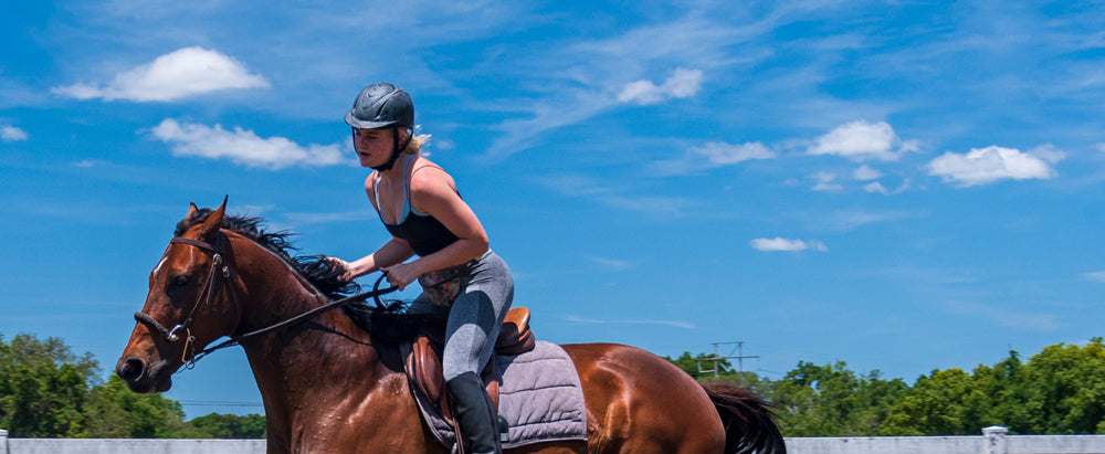 Horse Training Workouts & Routines by Discipline