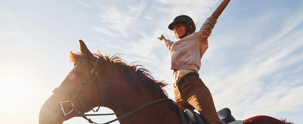 Navigating Horse Care: Keeping You in The Saddle