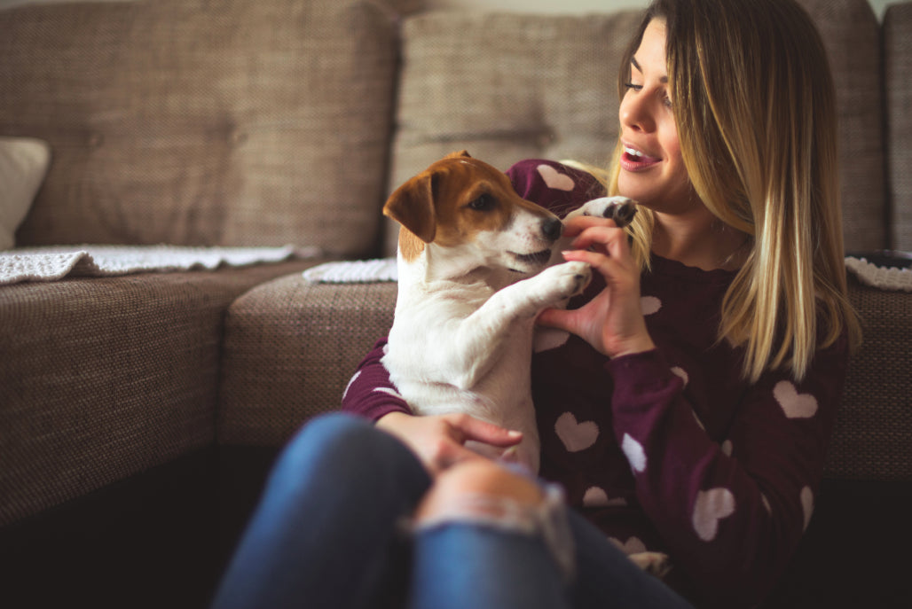 How to Take Care of a Dog: Essential Tips